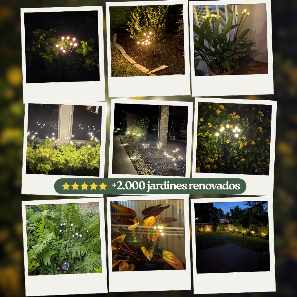 Ramo LUCES SOLARES para jardín | BLACK FRIDAY | 50% OFF